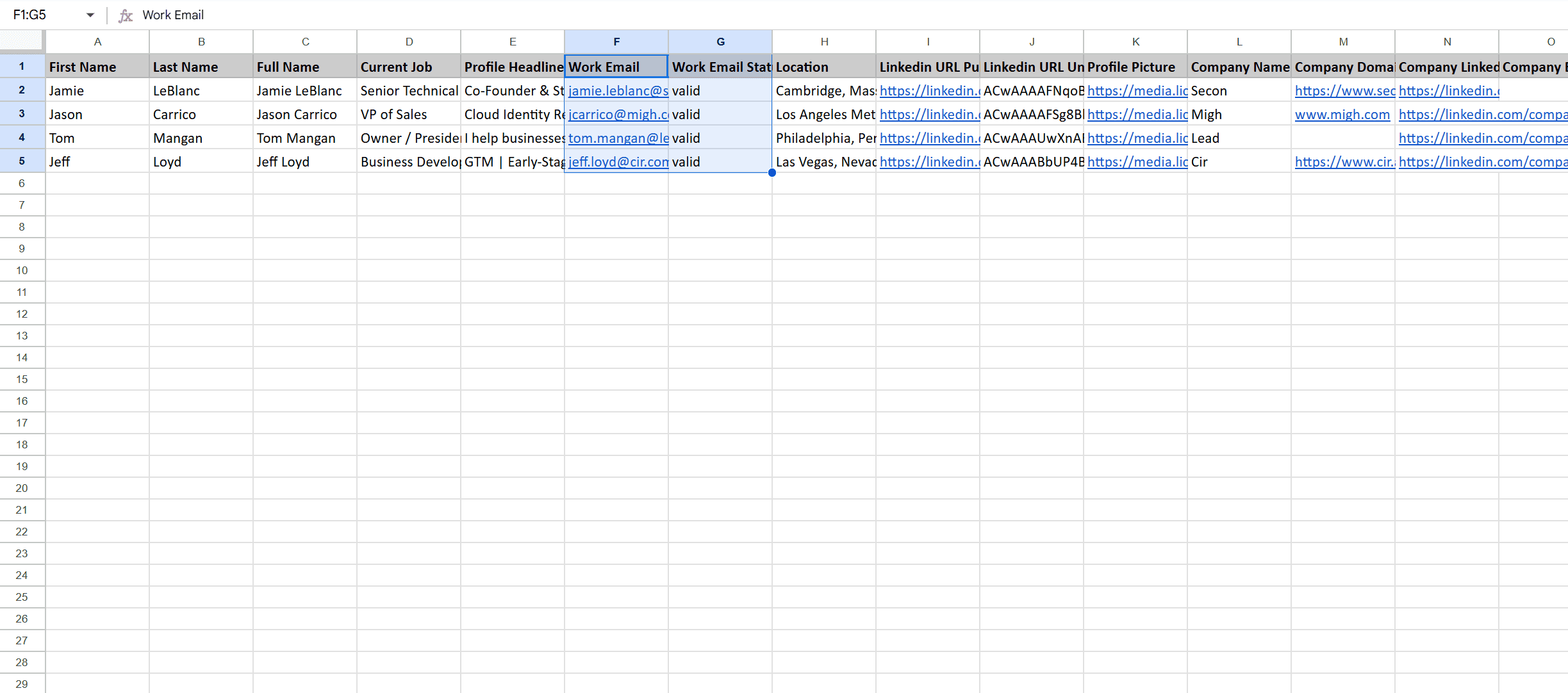 Detailed Enrichment With Emails
